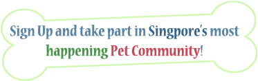 Join Singapore Pets Community! Singapore Pets Portal | Sg Pets