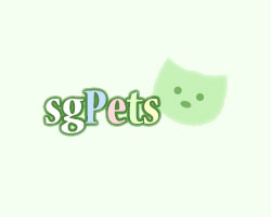 Sweet Golden retriever puppies for sale - Singapore Pet Services | Sg Pets