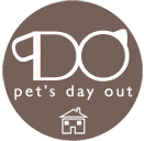 Pet's Day Out - Singapore Pets | Sg Pets