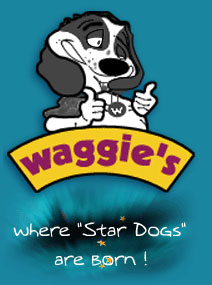 Waggie's Pet Care - Dog Training Singapore by Patrick Wong - Singapore Pets Services | Sg Pets